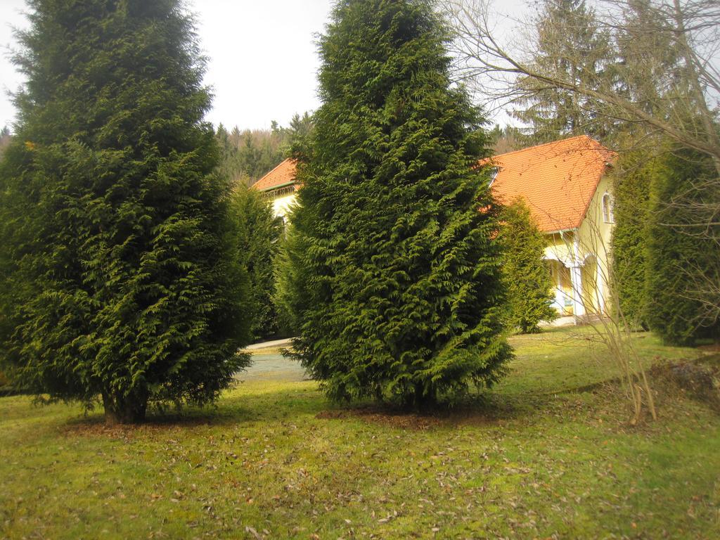 Julianna Panzio Hotel Felsőszölnök Zewnętrze zdjęcie