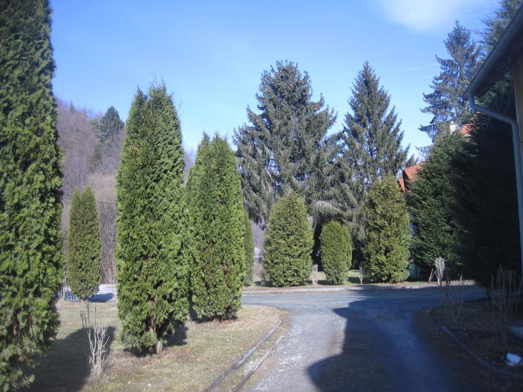 Julianna Panzio Hotel Felsőszölnök Zewnętrze zdjęcie