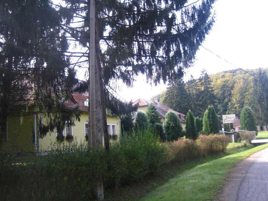 Julianna Panzio Hotel Felsőszölnök Zewnętrze zdjęcie