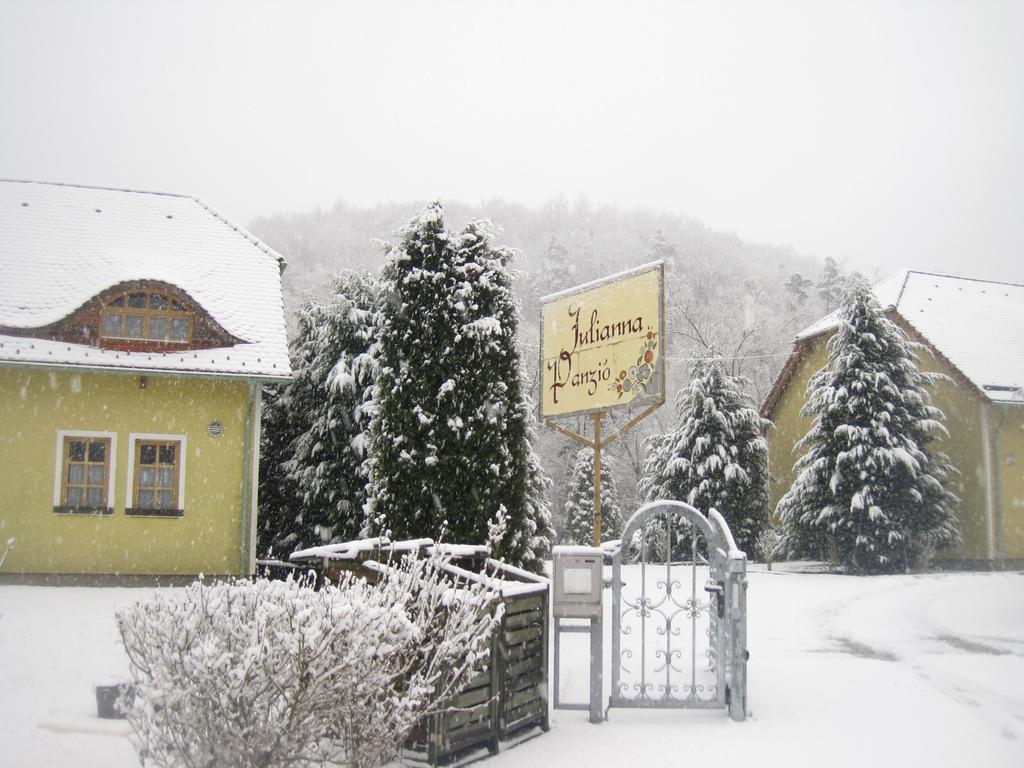Julianna Panzio Hotel Felsőszölnök Zewnętrze zdjęcie