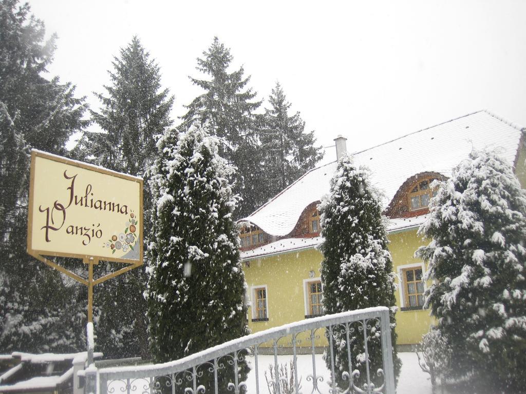 Julianna Panzio Hotel Felsőszölnök Zewnętrze zdjęcie